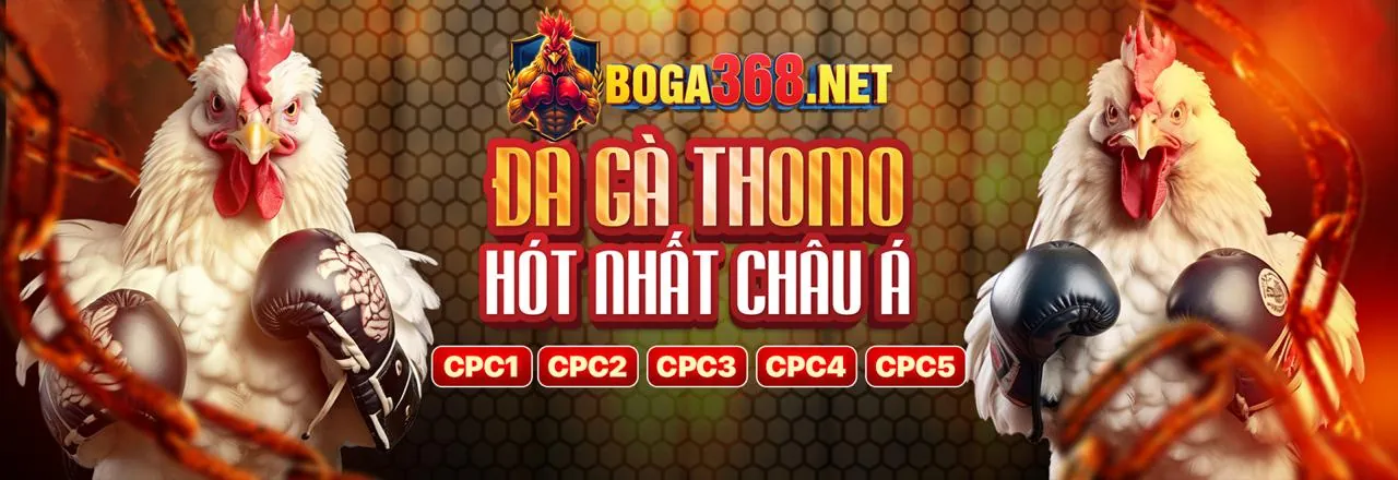 Tỷ lệ kèo và thị trường cược tại QH88