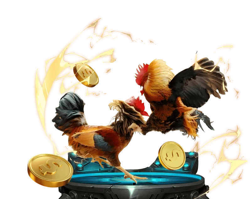 Cá cược Bóng rổ tại QH88